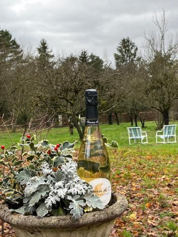 "Aux Chants Des Oiseaux" Domaine De La Renardiere Les Grandes-Loges Eksteriør bilde